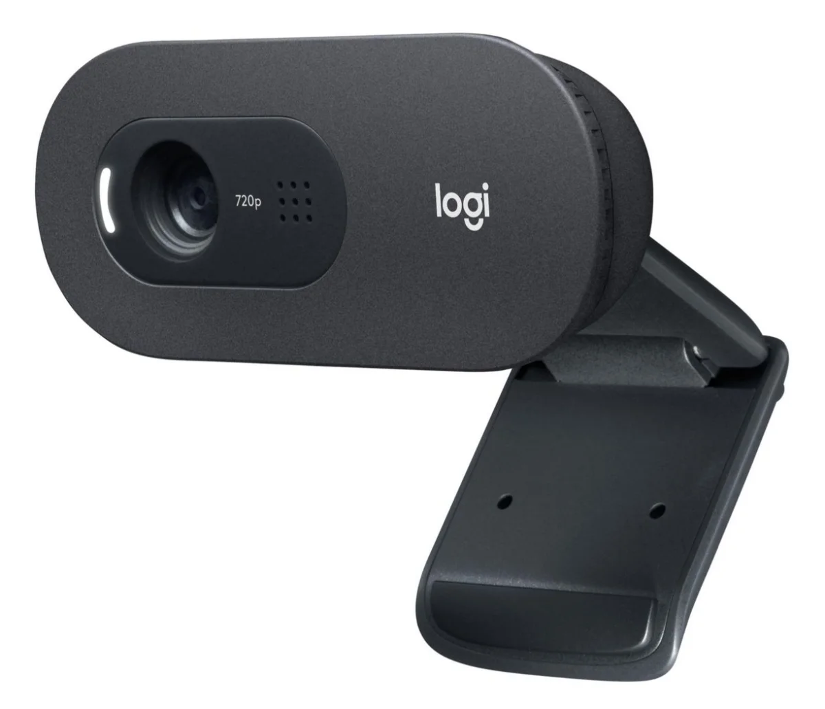 Logitech C505 Webcam