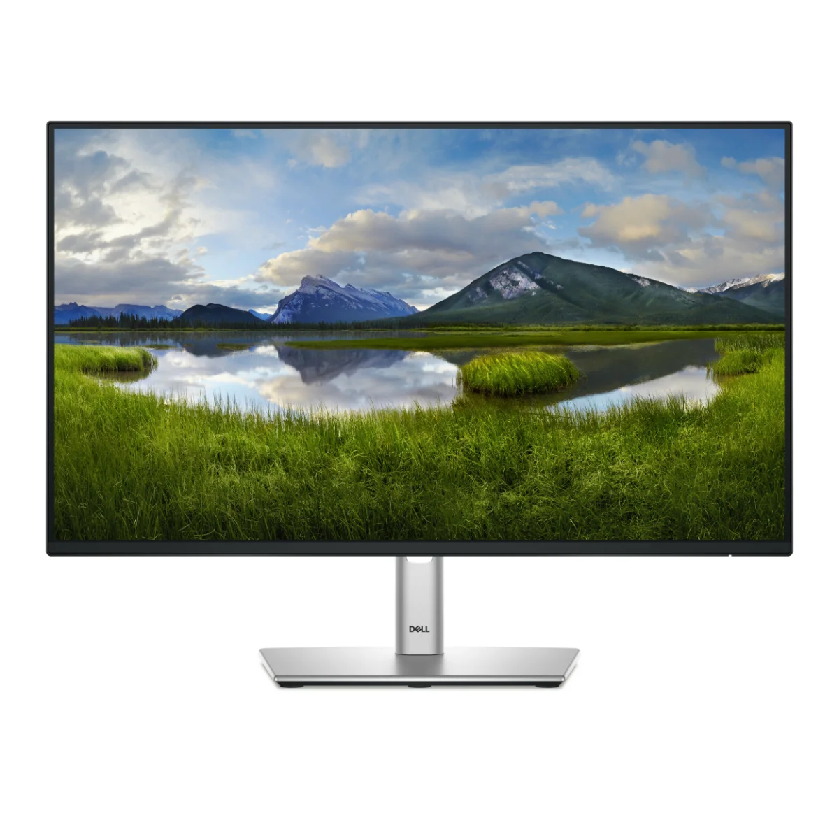 Dell P2425HE 24 IPS 1920 x 1080 (Full HD) HDMI DisplayPort USB-C 60Hz Dockingskærm