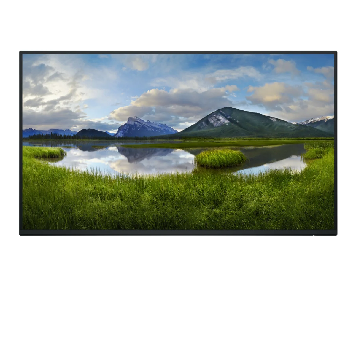 Dell P2725H 27 IPS 1920 x 1080 (Full HD) VGA (HD-15) HDMI DisplayPort 100Hz