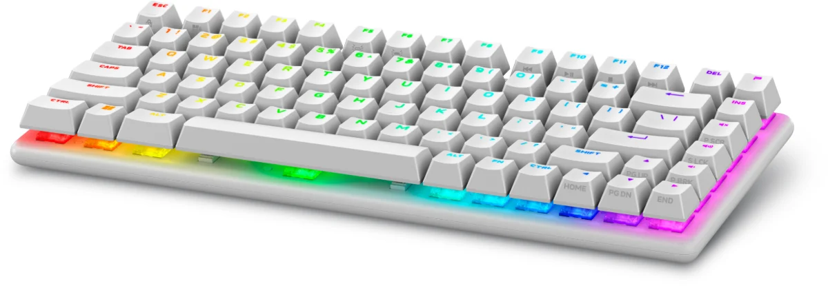 Alienware Pro Wireless Gaming Keyboard Tastatur Mekanisk AlienFX per-nøgle RGB/16,8 millioner farver Trådløs Kablet